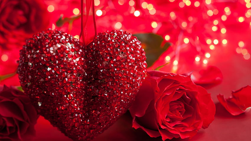 Rose, , , heart, Valentine's Day, love, Romantic Nature HD wallpaper |  Pxfuel