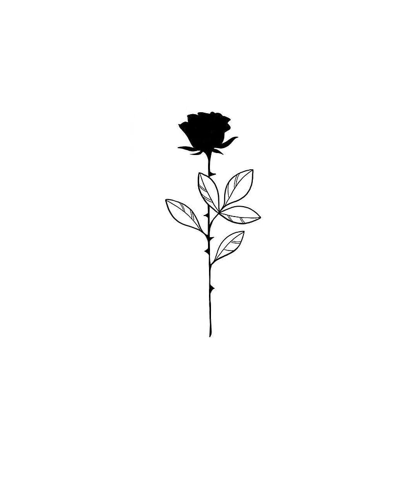 Dudi Hen Tattoo na Instagramie: „Czarna róża, Czarno-biała róża Rysunek Tapeta na telefon HD