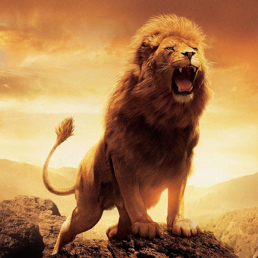 roaring lion pictures
