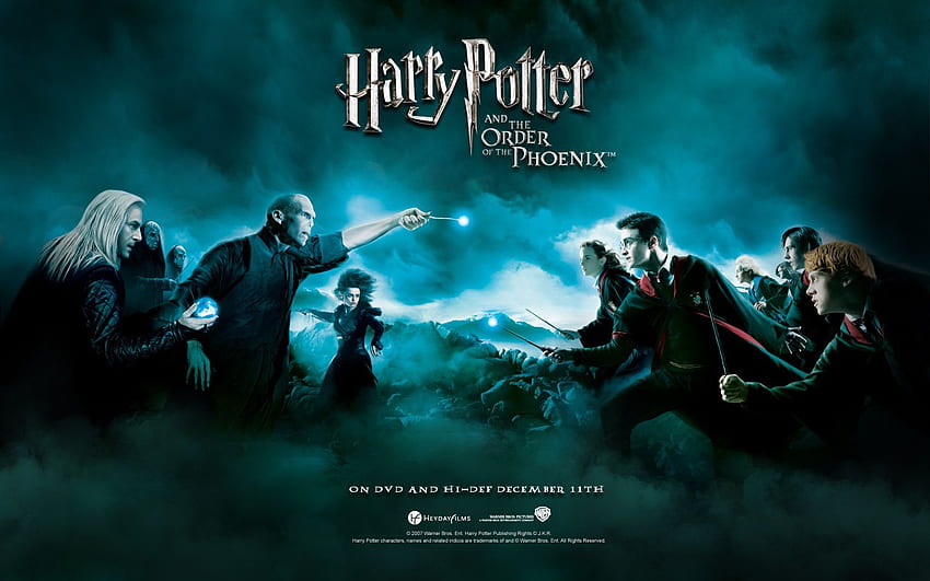 Harry Potter and the Order of the Phoenix on Hip. Harry Potter iPhone , Harry Potter and Funny Harry Potter HD wallpaper