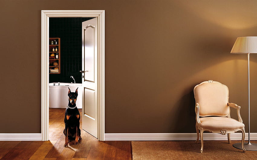 Animals, Interior, Dog, Room, Door, Mastiff, Great Dane, Hallway, Antechamber HD wallpaper
