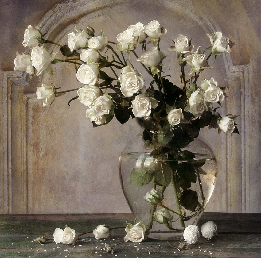 白、白、バラ、花瓶、ガラス、長い茎で素敵 高画質の壁紙