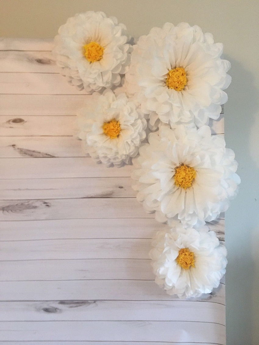 Latar belakang daisy bunga kertas raksasa untuk dekorasi pernikahan pedesaan. Etsy di tahun 2021. Bunga kertas, Bunga kertas diy, Bunga aster wallpaper ponsel HD