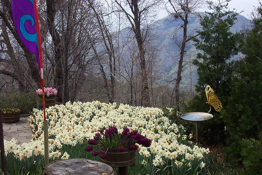 Jardín de narcisos con escultura y bebedero para pájaros, jardín, flores, narcisos fondo de pantalla