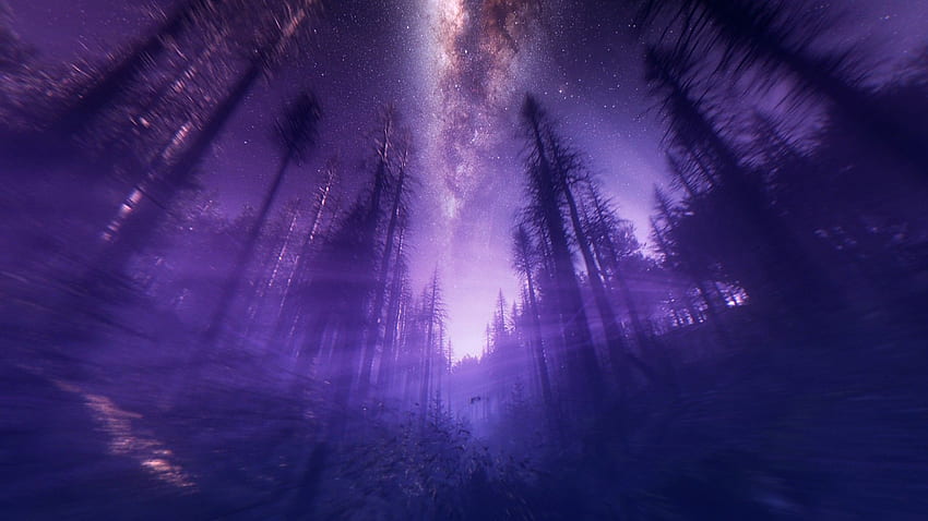 Purple Anime Forest , Dark Purple Forest HD wallpaper