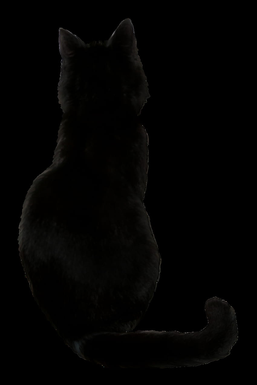 Нарисувана черна котка tumblr, прозрачен клип арт, естетична черна котка HD тапет за телефон