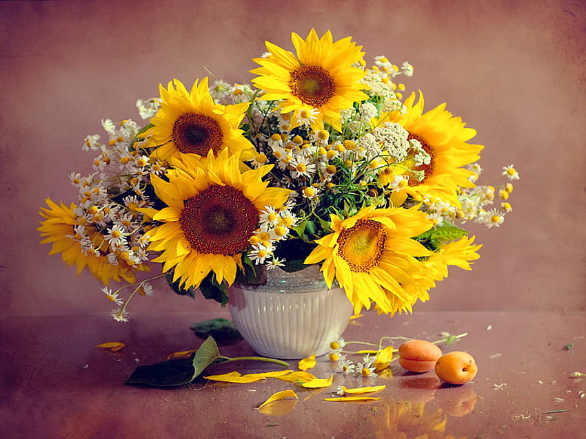 Martwa natura, wazon, piękny, ładny, delikatny, słoneczniki, ładny, kwiaty, śliczny, harmonia Tapeta HD