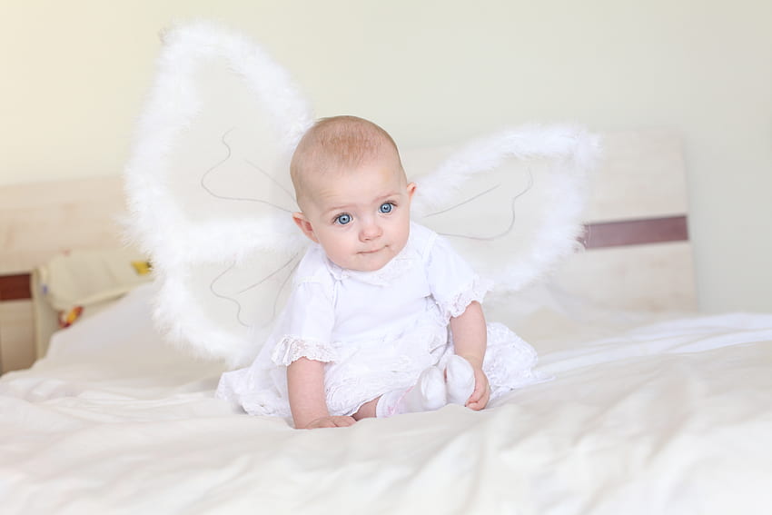 天使の赤ちゃん、甘い、翼、グラフィック、赤ちゃん、天使、子供 高画質の壁紙