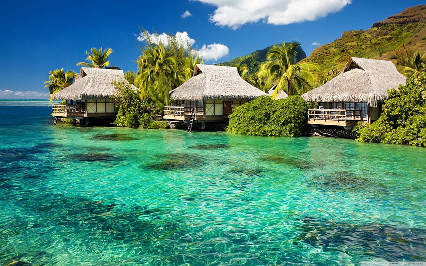 Water Bungalows On A Tropical Island ❤ HD wallpaper
