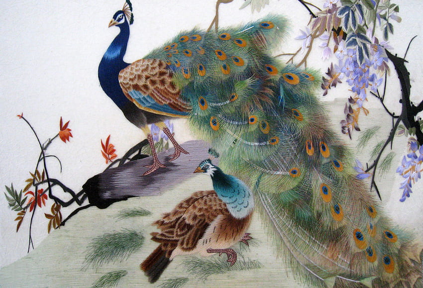 Peacocks, painting, bird, paun, art, pictura, peacock, pasari HD wallpaper