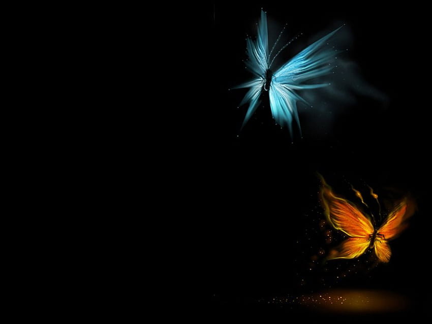 Black Butterfly Background HD wallpaper | Pxfuel