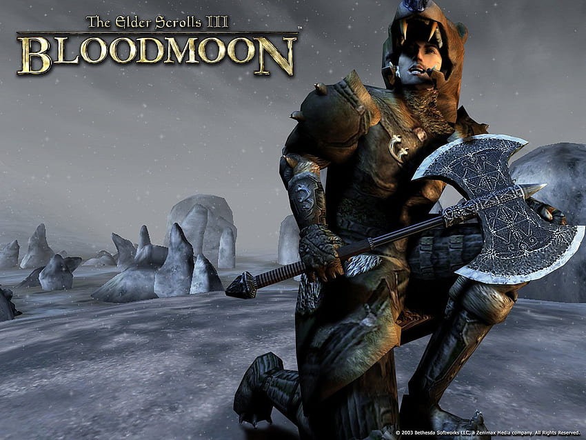 TES III Morrowind 페이지 2 The Elder Scrolls 팬 사이트 [], 모바일 및 태블릿용. 모로윈드를 탐험하세요. Elder Scrolls Oblivion, 스카이림 임페리얼 HD 월페이퍼