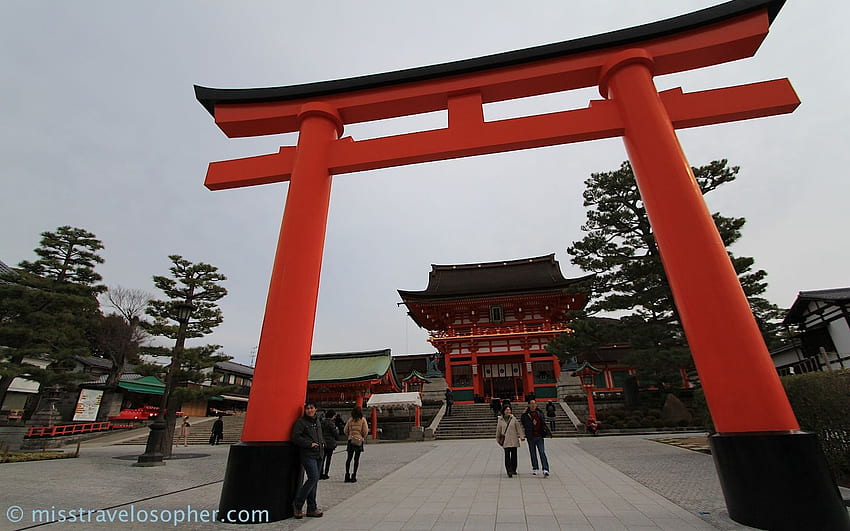 Torii gate shrine japan , Japanese Torii HD wallpaper