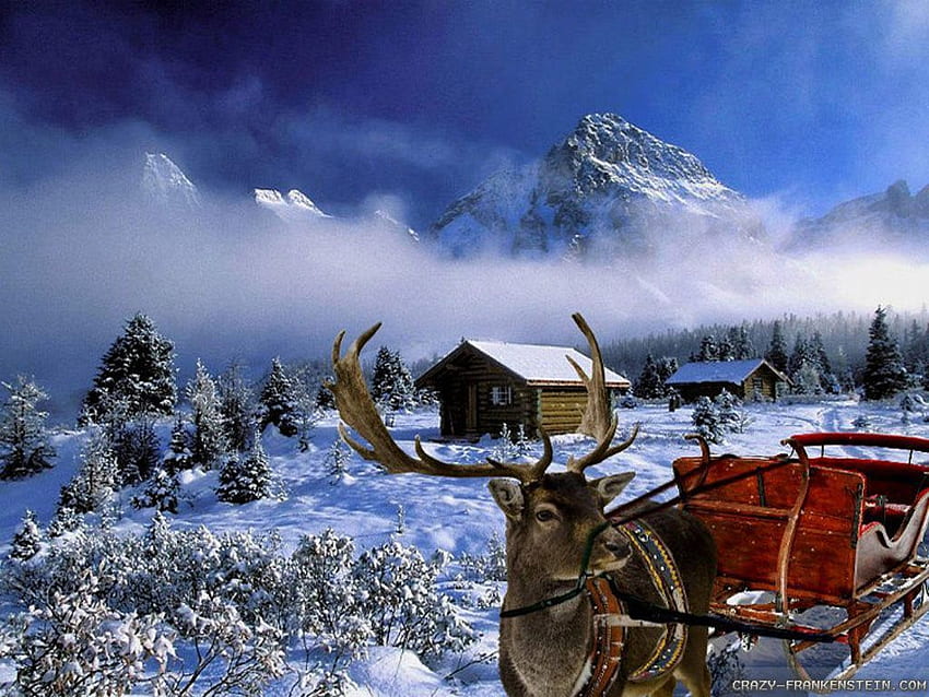 Winter Christmas Christmas Winter Scenes Hd Wallpaper Pxfuel