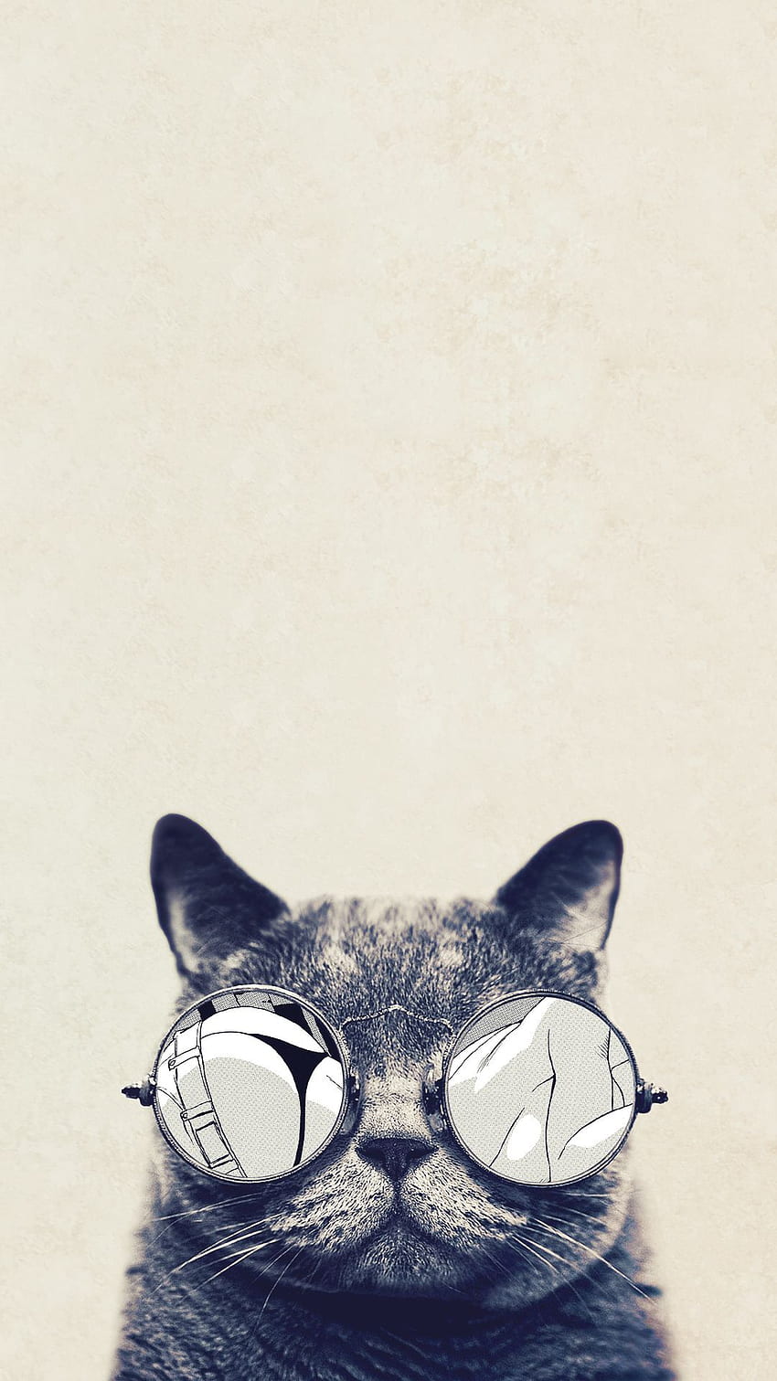 Cat With Glasses, Hippie Cat HD phone wallpaper