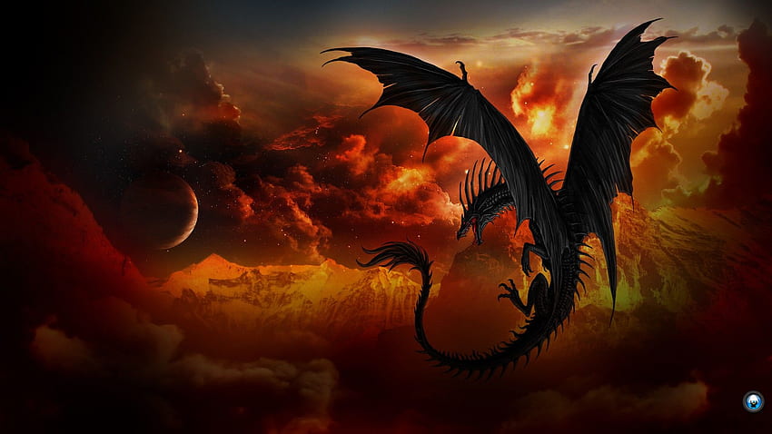 Dragon background amazing full background, Hi-Def Dragon HD wallpaper