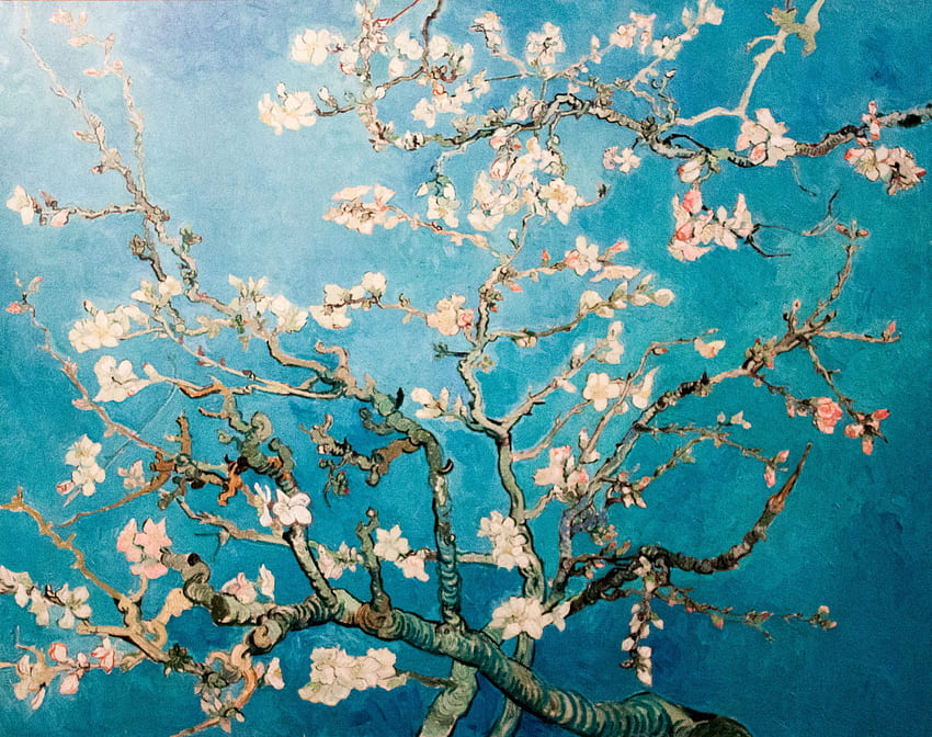 Çiçek Açan Badem Ağacı (JH 1891) - My, Tumbler Van Gogh iPhone HD duvar kağıdı