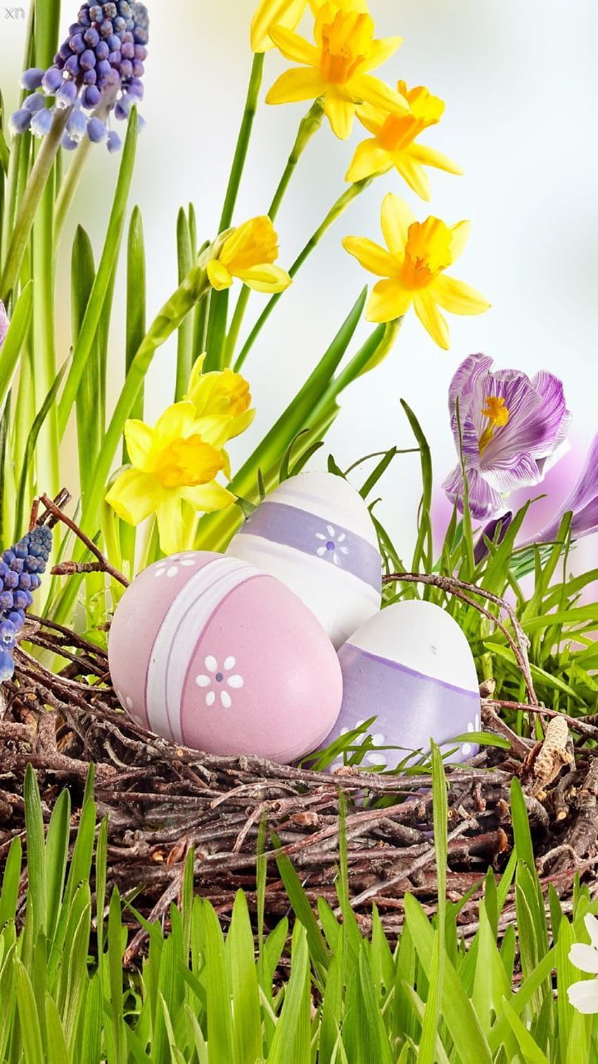 Pâques - Galaxy S11. Pâques, graphie de Pâques, arrangement floral de Pâques, Pâques de printemps Fond d'écran de téléphone HD