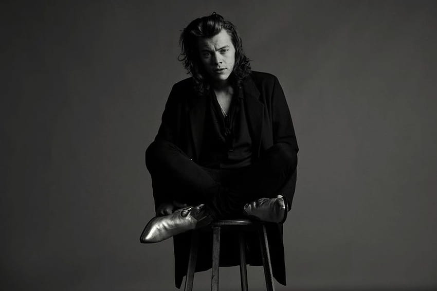 Cool Laptop Harry Styles, Harry Styles Black and White HD wallpaper