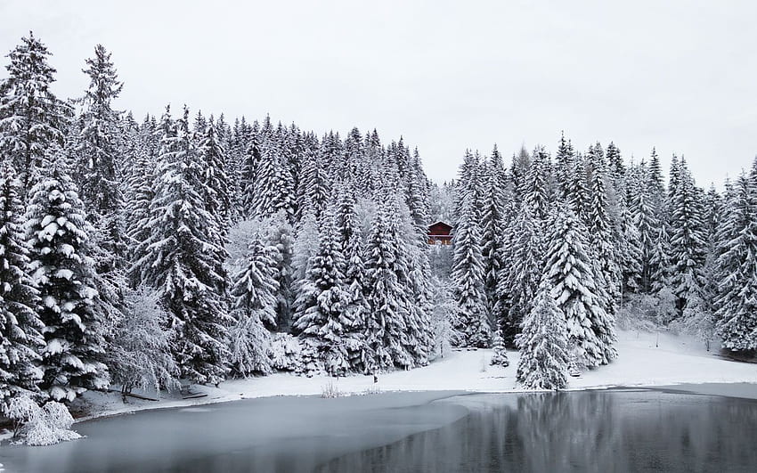 Small Lake in Switzerland - HD wallpaper