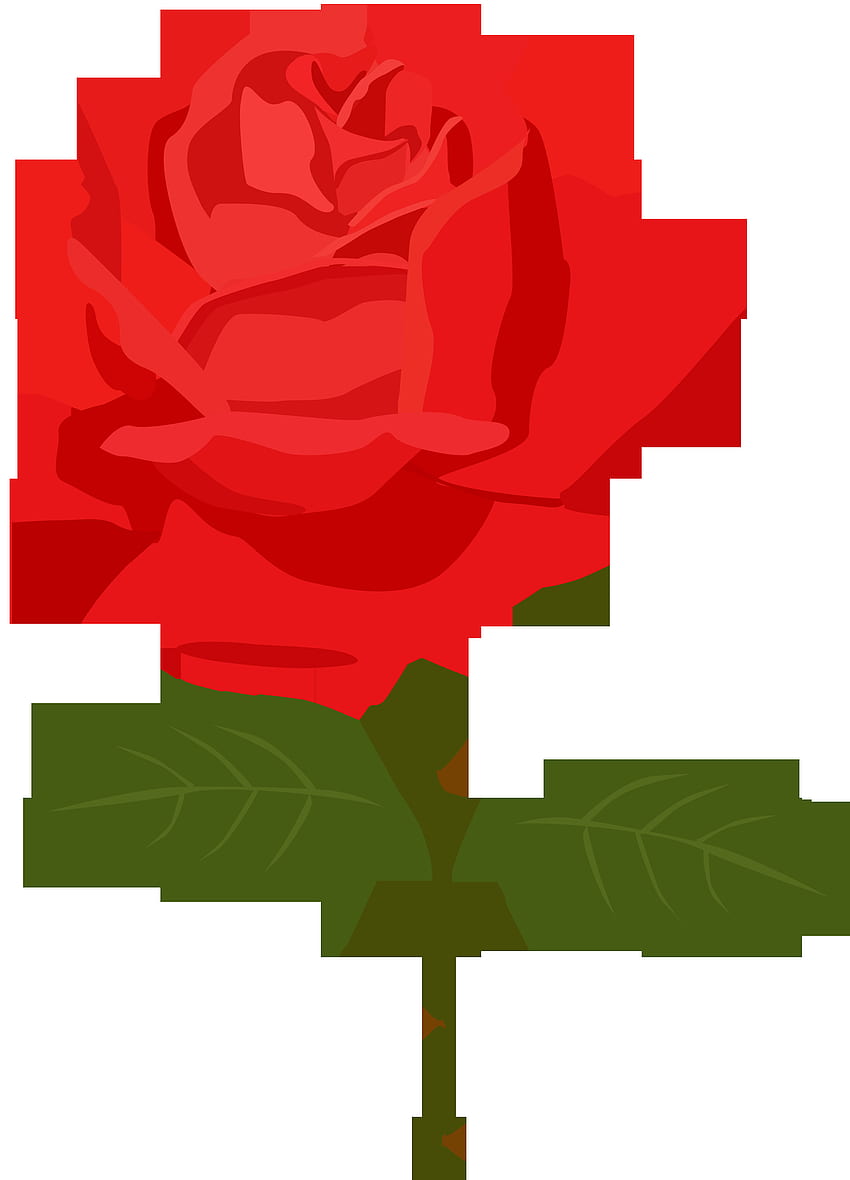 Red Rose Clipart, Clip Art, Clip Art on Clipart Library, Rose Cartoon HD phone wallpaper
