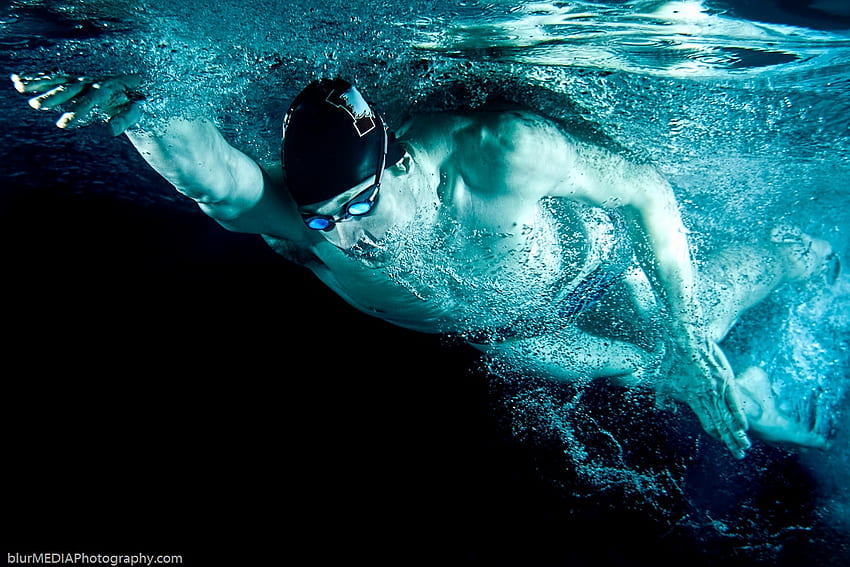 Nadadores lindos [48] Piscina olímpica em um afari para você - à esquerda do Hudson papel de parede HD