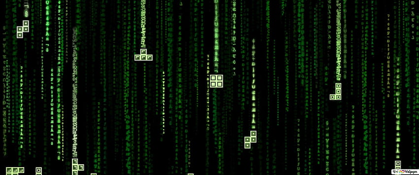 Matrix Code Tetris Sci Fi , 3440x1440 Matrix HD wallpaper
