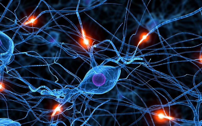 脳シナプス ニューロン アート 高画質の壁紙