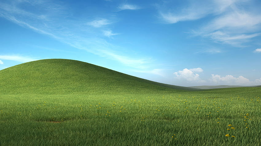 Windows 11 - Ново блаженство от Windows XP, Windows XP Grass HD тапет