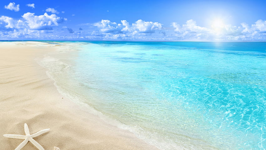 Hermosa vista al mar estrella concha blanca playa arena bajo cielo azul rayos de sol naturaleza fondo de pantalla