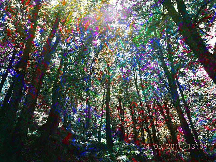 Psychedelic Forest. Psychedelic, Art, Forest painting HD wallpaper