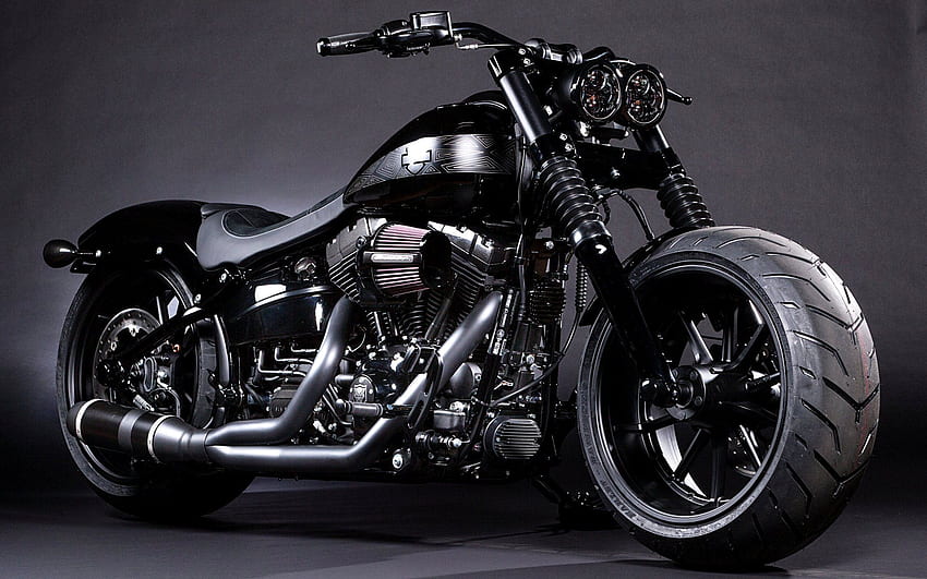 Pantera Nera Harley Davidson. In alto, motocicletta Harley Sfondo HD