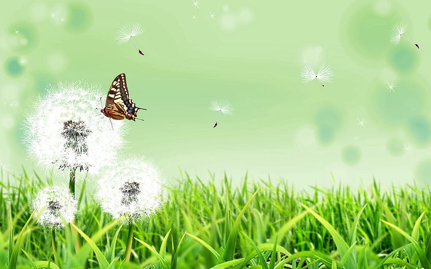 Nature, Grass, Vector, Butterfly, Dandelion HD wallpaper