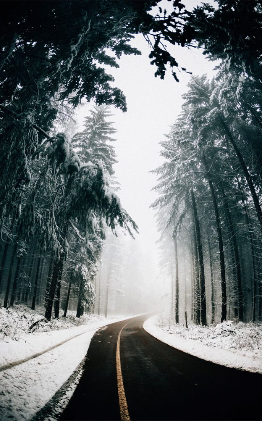 Foggy on the winter road - Idea , iPhone , Color Schemes, Foggy Street HD phone wallpaper