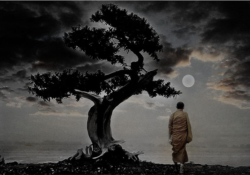 Buddist, Zen Buddhist HD wallpaper