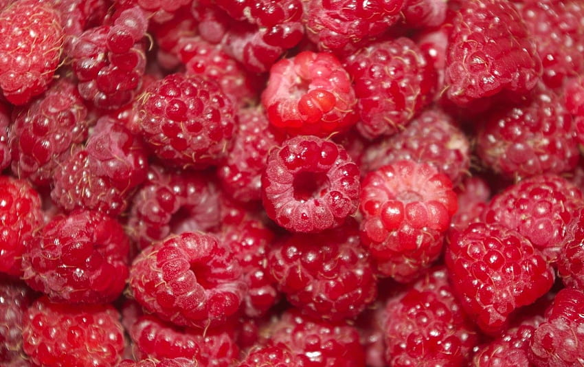 Summery Juicy Raspberry . Summery Juicy Raspberry HD wallpaper | Pxfuel