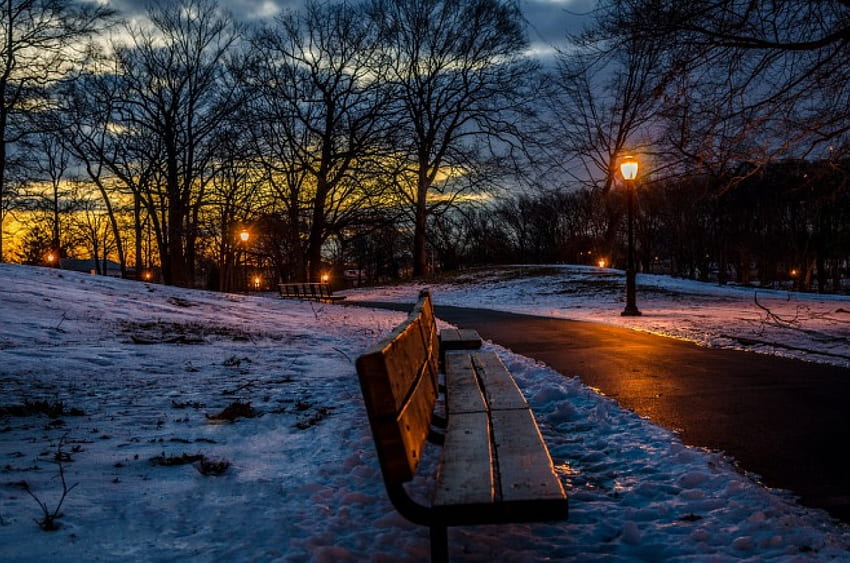 Verschneite Morgendämmerung ruhig, Landschaft, Bäume, urban, quadratisch HD-Hintergrundbild