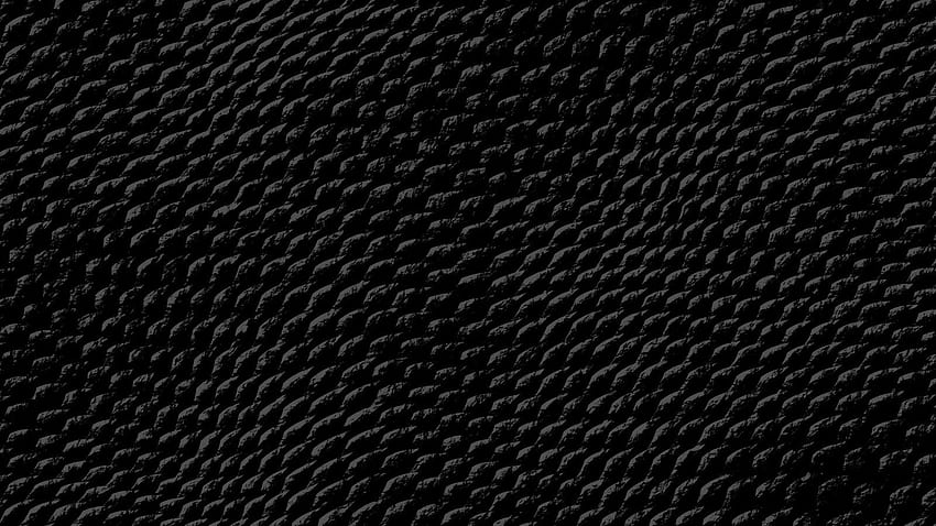 Peau de serpent noir. Peau de serpent, serpent, noir foncé, texture de serpent Fond d'écran HD