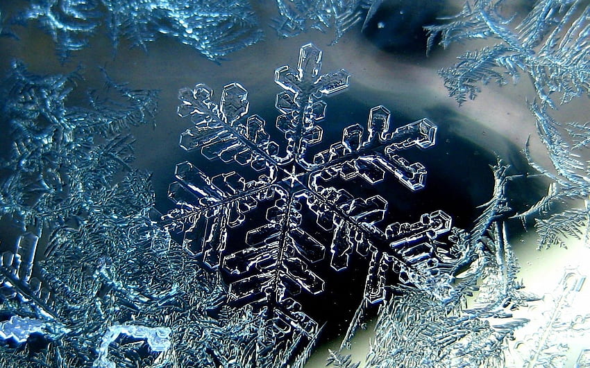 Winter, Ice, Snowflakes, Patterns, Macro, Form HD wallpaper