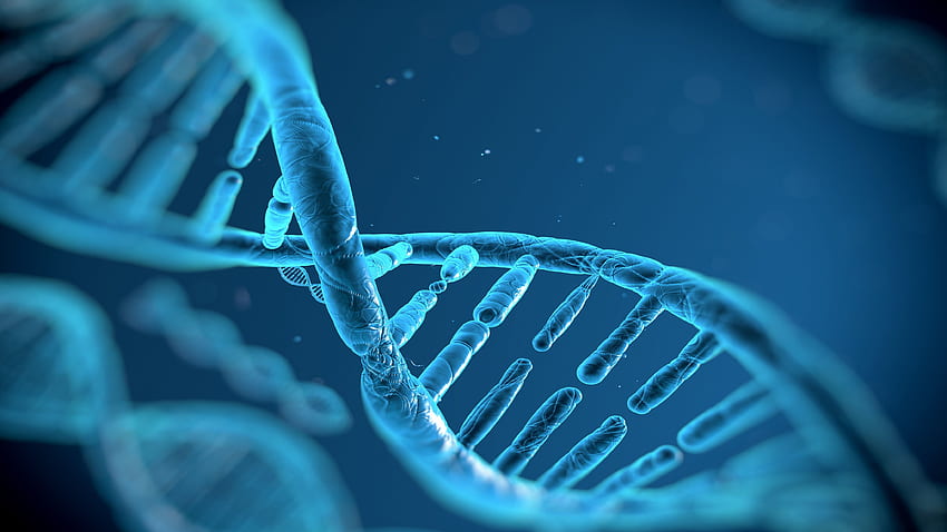 DNA ストリング Windows 10 - 3D、サイエンス DNA 高画質の壁紙