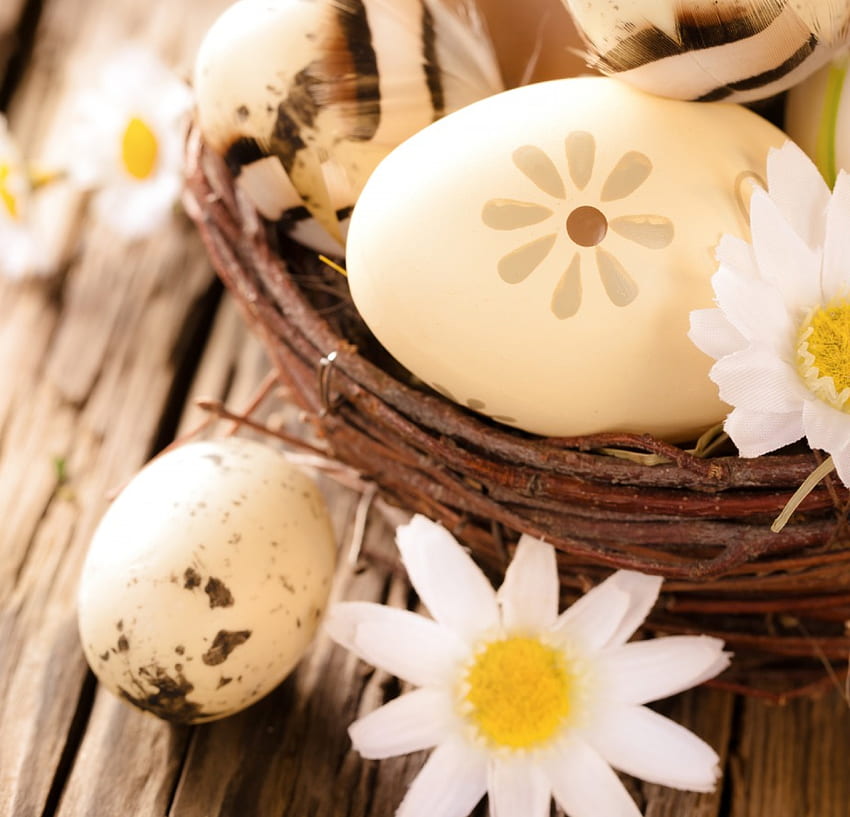 Easter Time, basket, camomile, easter, flowers, eggs HD wallpaper