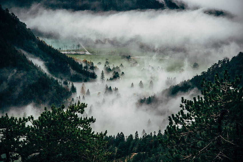 Natura, alberi, montagne, vertice, cima, nebbia Sfondo HD