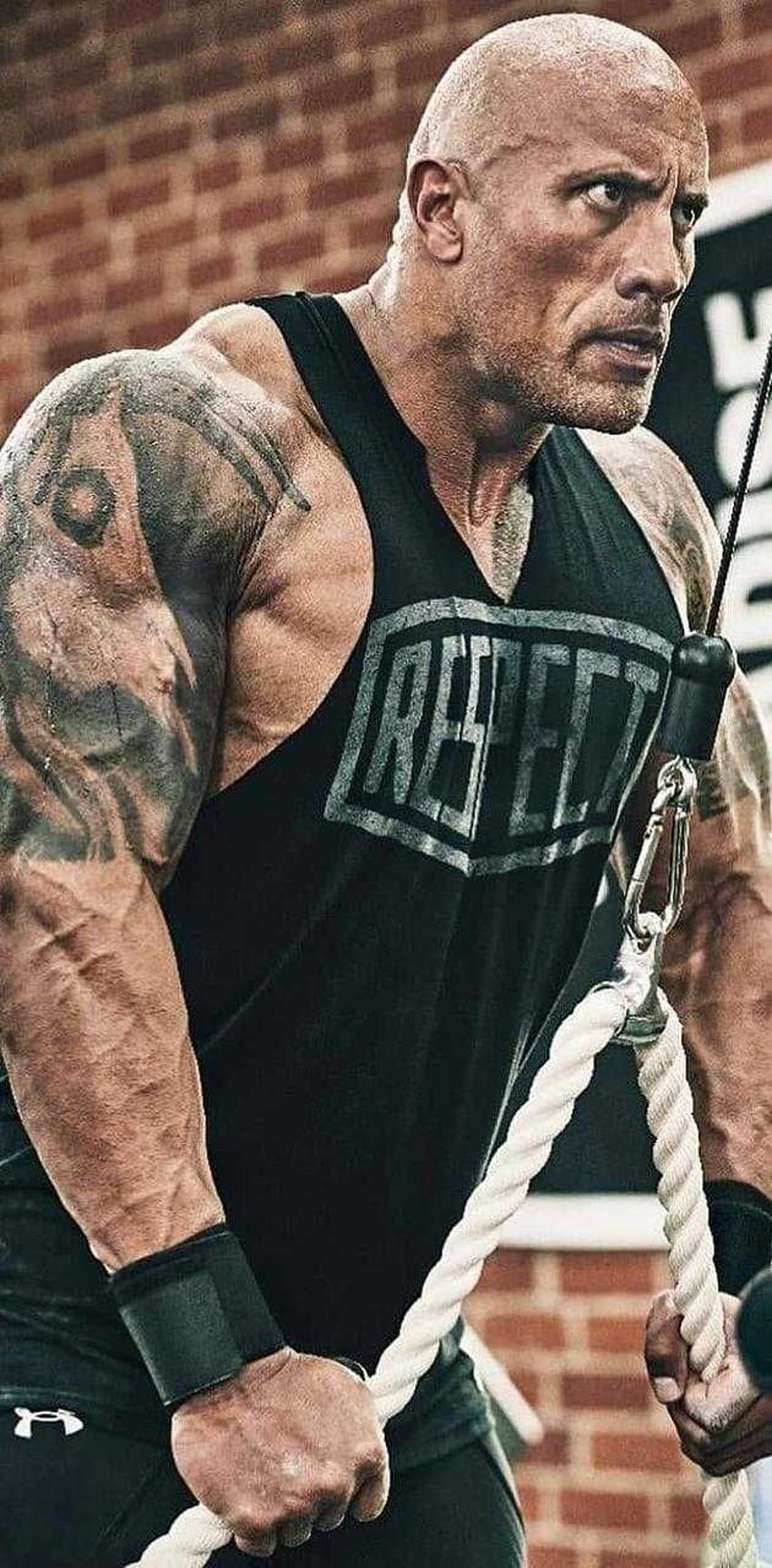 Bodybuilder Dwayne Johnson 13 in 2022. Dwayne johnson egzersizi, The rock dwayne johnson, Dwayne johnson, Bodybuilding Mobile HD telefon duvar kağıdı