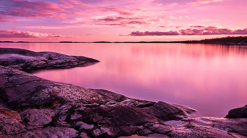 Pink Lake Laptop voll, Natur, Pink Nature Cute HD-Hintergrundbild