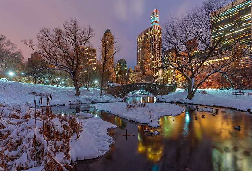 Snow White Log Winter เมืองนิวยอร์คที่สวยงาม ฤดูหนาวนิวยอร์คที่ไม่เหมือนใคร วอลล์เปเปอร์ HD
