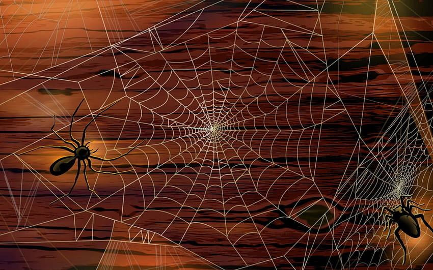 Pajęczyna i pająki, noc, drewniana ściana, pajęczyna, pająki Tapeta HD