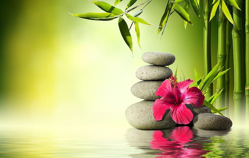 bunga, air, batu, bambu, bunga, air, anggrek, batu, refleksi, bambu, spa, zen untuk , bagian природа, Zen graphy Wallpaper HD
