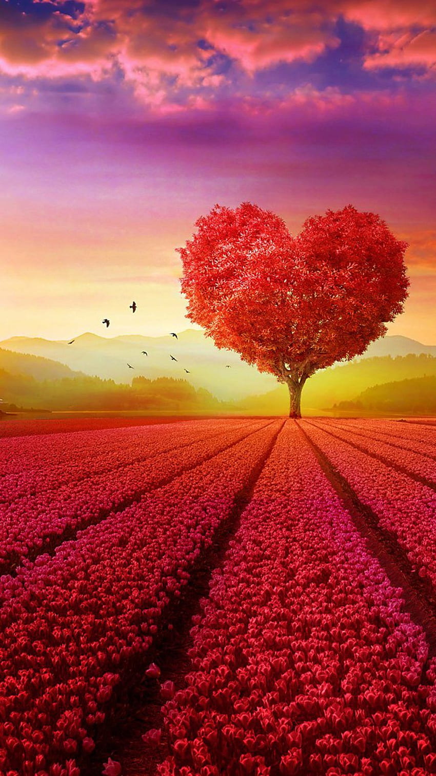 ラブ ハート シェイプ ツリー フラワーズ ウルトラ モバイル。 木の背景、美しい風景、ロマンチックな愛、縦の愛 HD電話の壁紙