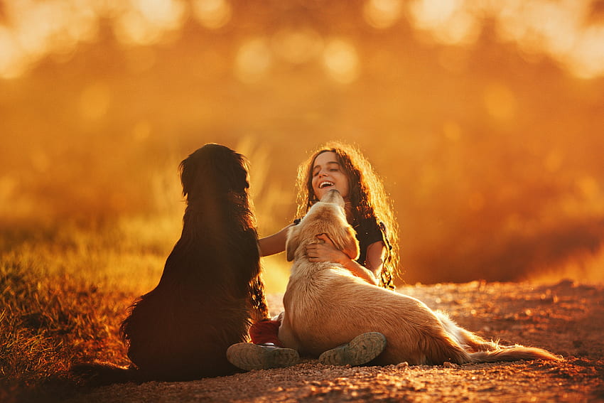 Friendship, Joy, Girl, Autumn, Dogs, Smile HD wallpaper
