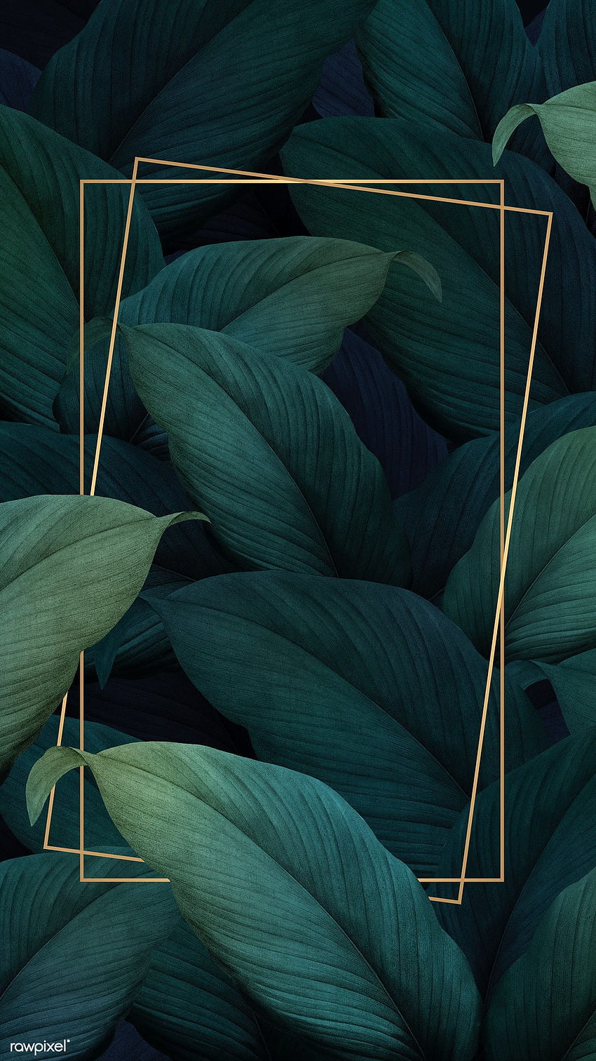 illustration premium de feuilles tropicales vertes, feuilles esthétiques Fond d'écran de téléphone HD